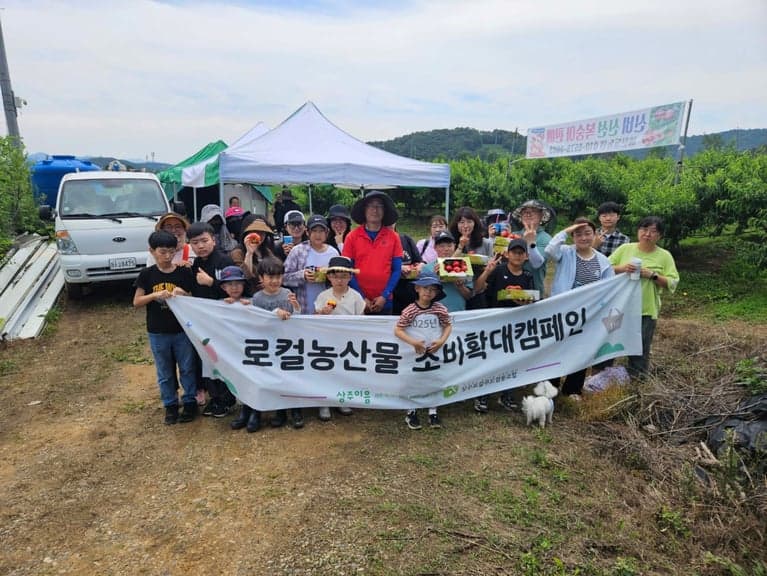 신비복숭아 활동